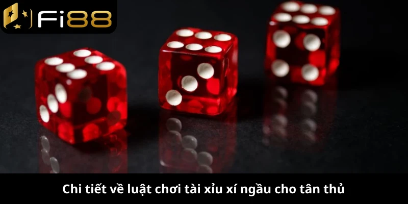 Chi tiết về luật chơi tài xỉu xí ngầu cho tân thủ