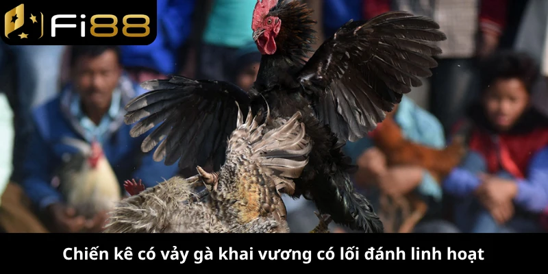 Chiến kê có vảy gà khai vương có lối đánh linh hoạt