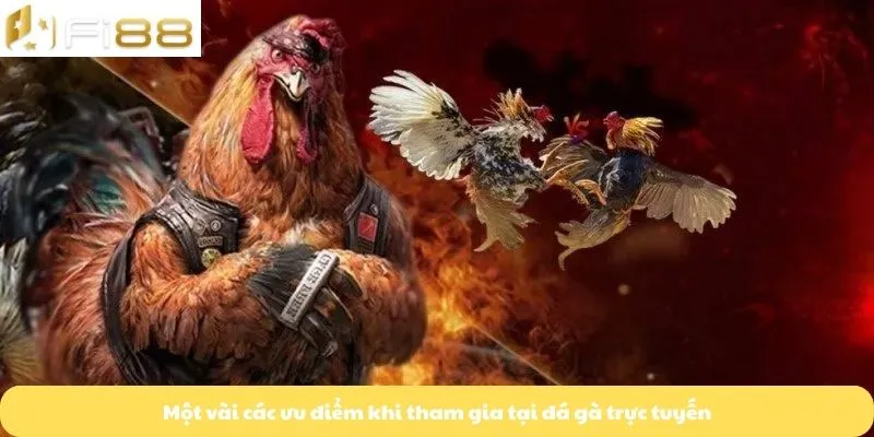 Một vài các ưu điểm khi tham gia tại đá gà trực tuyến