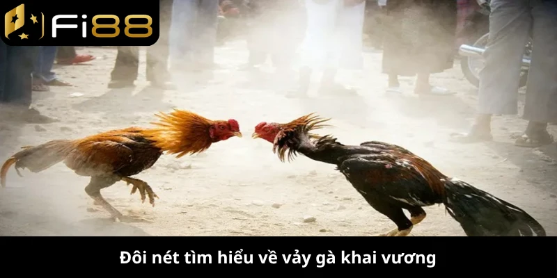 Đôi nét tìm hiểu về vảy gà khai vương