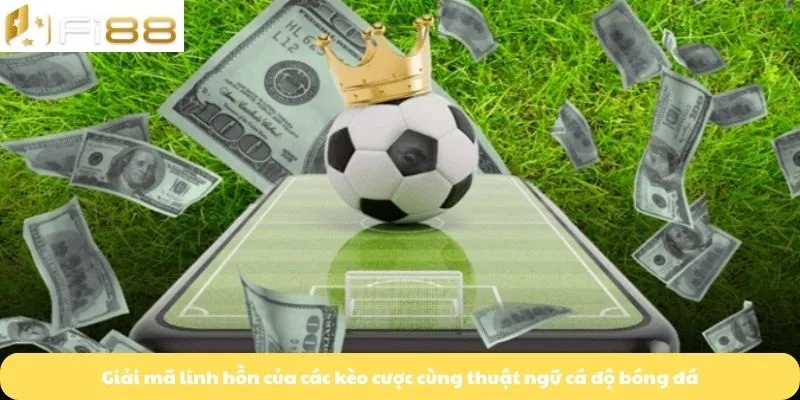 Giải mã linh hồn của các kèo cược cùng thuật ngữ cá độ bóng đá