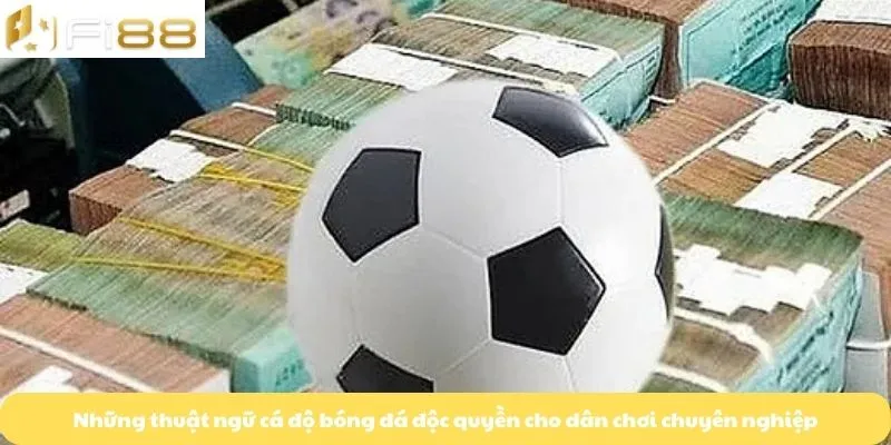 Những thuật ngữ cá độ bóng đá độc quyền cho dân chơi chuyên nghiệp