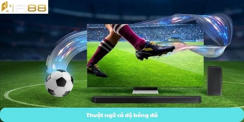 Thuật ngữ cá độ bóng đá